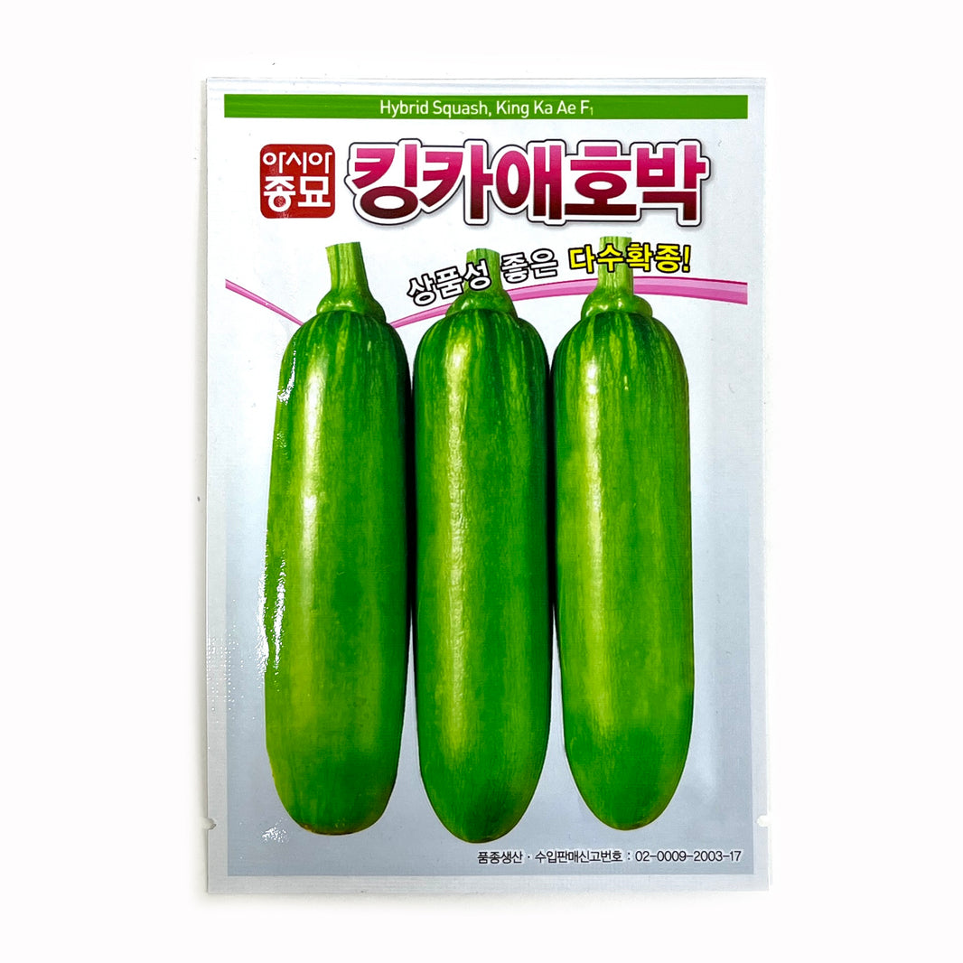 애호박 씨앗