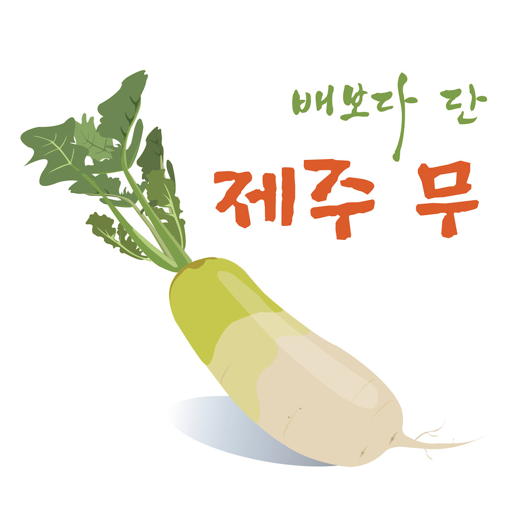 [H&Y] Korean Jeju Radish / 제주 직송 배보다 단 무우 (3.5lb~4.5lb)