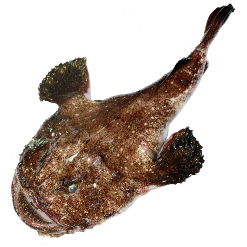 냉동 아귀 (2.5lb)