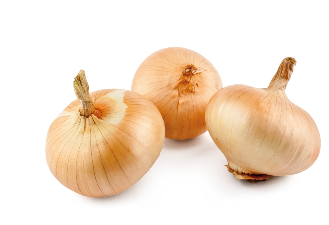 스윗 어니언 2pk (2lb 내외) / SWEET ONION 2pk