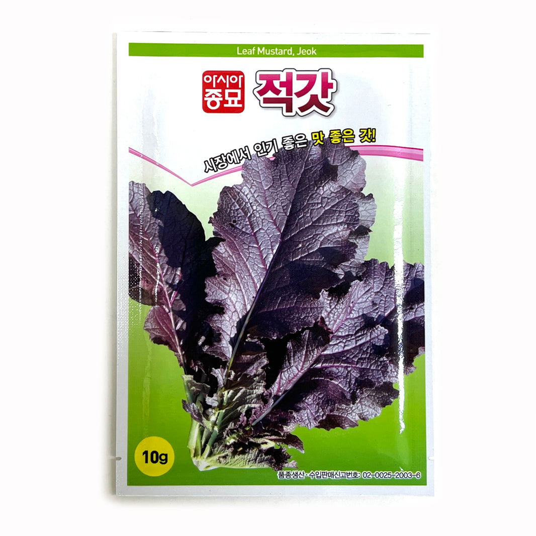 [Korean Seeds] Red Leaf Mustard Seeds / 적갓 씨앗 (10g)