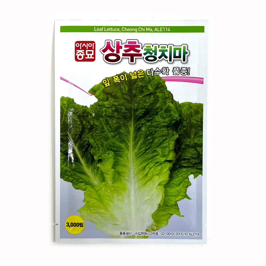 [Korean Seeds] Green Skirt Lettuce / 청치마 상추 씨앗 (4g)