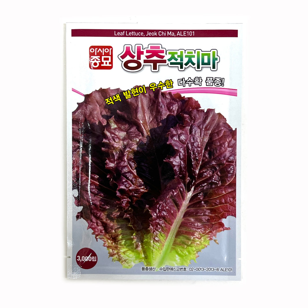 [Korean Seeds] Red Skirt Lettuce / 적치마 상추 씨앗 (4g)