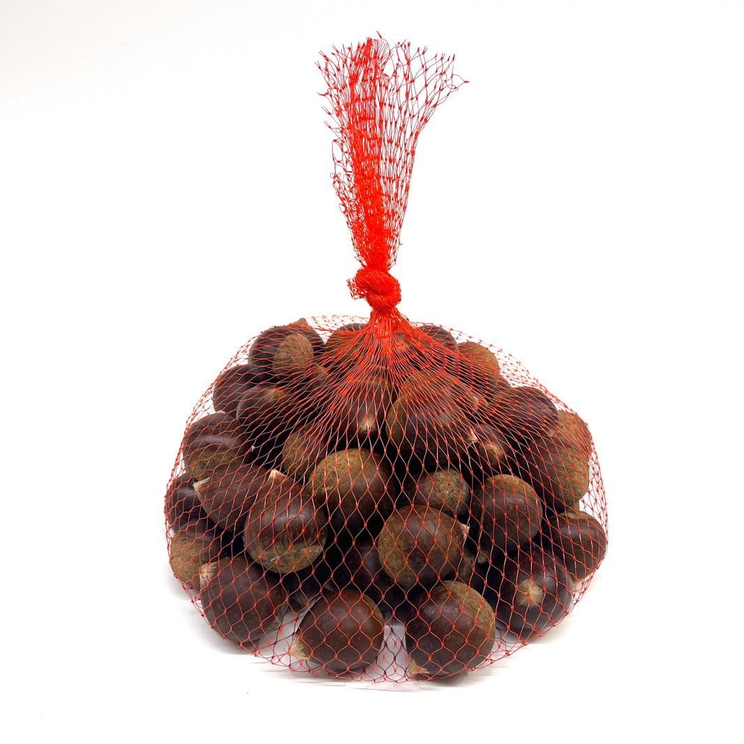 [HY] Chestnuts / 생 밤 (2lb)