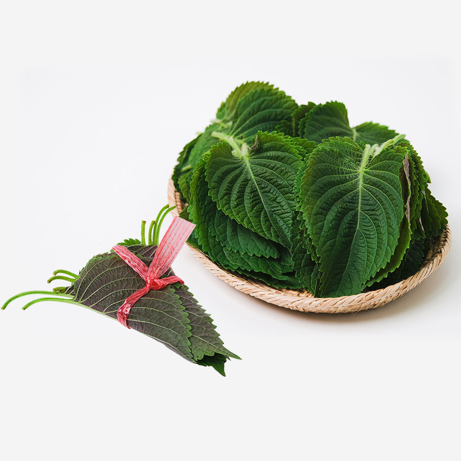 [H&Y] Perilla Sesame Leaves / 깻잎 (1 pack)