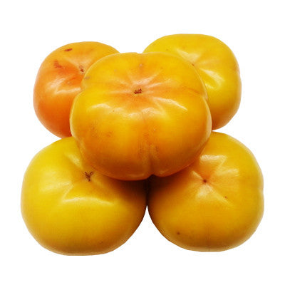 [H&Y] Sweet Persimmon / 한양 단감 (7pcs)