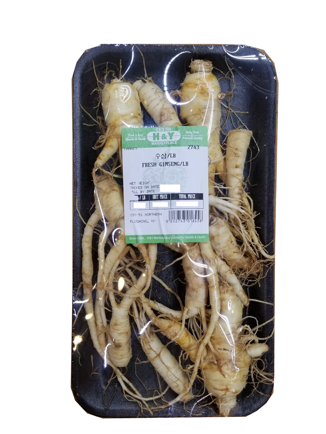 [H&Y] Fresh Ginseng / 한양 후레쉬 수삼 인삼 (0.5 lb)