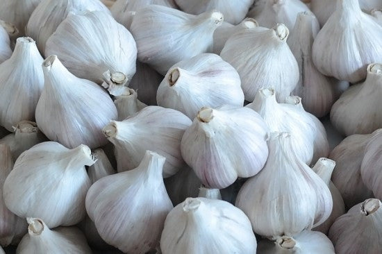 [HY] Pickled Whole Garlic/통마늘 절임 (1pk)