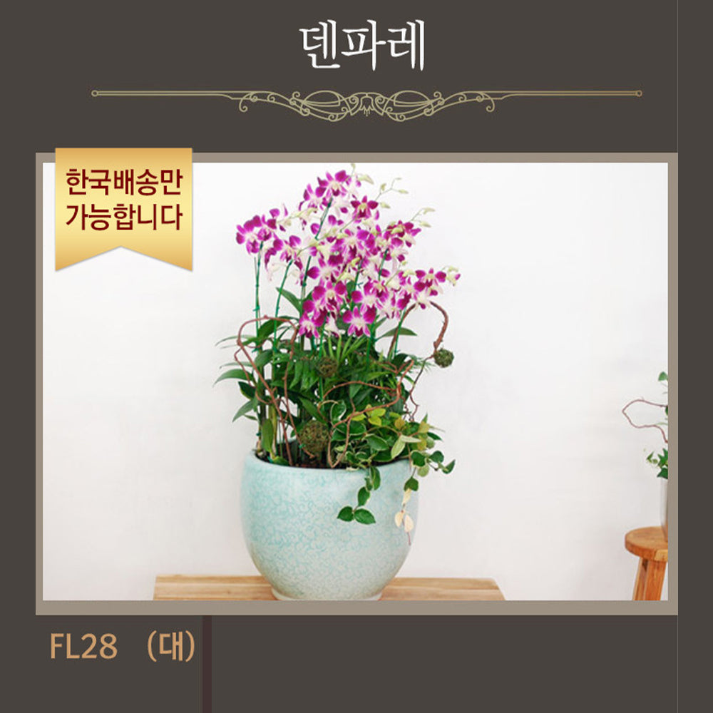 [한국배송] FL28 덴파레