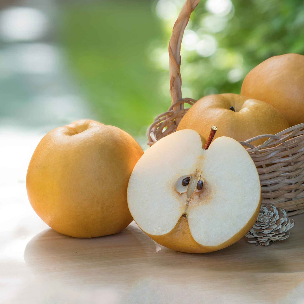 [A-San] Korean Pears / 아산배 한국산 신고배 한국배 (7pc/box)