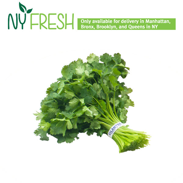 [NY FRESH] Cilantro / 실란트로 (1Bun)