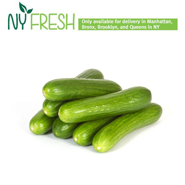 [NY FRESH] Mini Cucumber / 미니 오이 (1lb / 1pk)